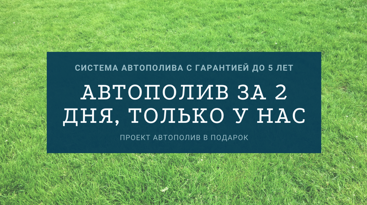 ПРОЕКТ БЕСПЛАТНО 